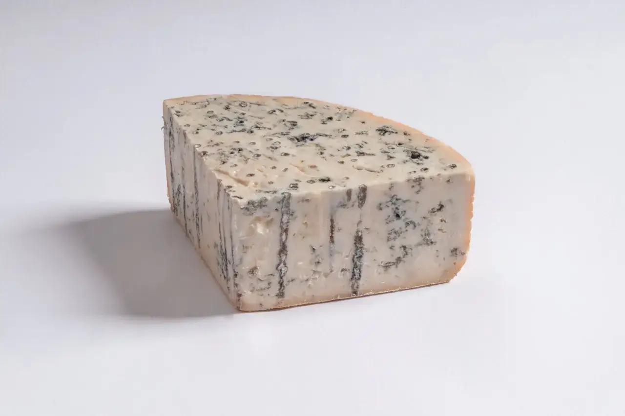 Un pezzo di formaggio erborinato, con venature blu e una crosta dorata. Un esempio di formaggi di capra quali sono, dal sapore intenso.