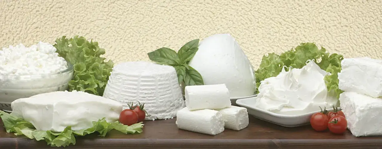 Variet&agrave; di formaggi freschi, latticini e verdure. Se cerchi una tuma come sostituirla, qui trovi ottime alternative.